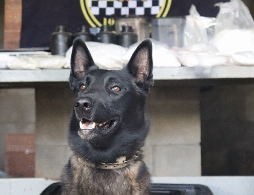 Polícia de SP encontra bunker equipado para preparar drogas em chácara no interior de SP