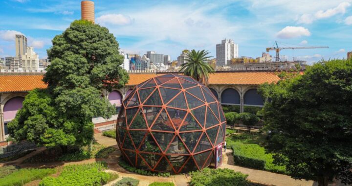 Laboratório de criação das borboletas será aberto a visitas pela primeira vez no Museu Catavento