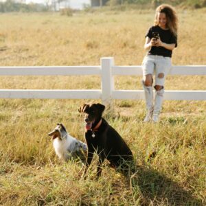 SP destaca destinos ‘pet friendly’ para o Dia Mundial do Cão