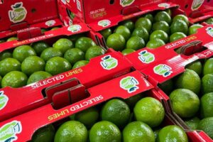 Exportação de limão cresce 21% no estado de SP