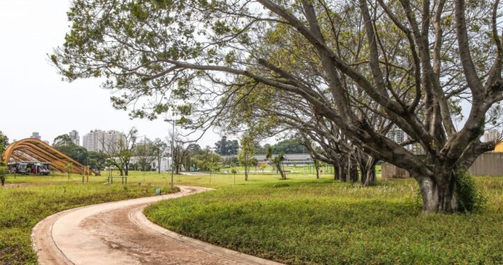 Governo de SP amplia prazo da consulta pública sobre concessão de parques urbanos na capital até 18 de agosto