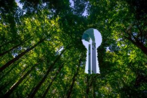 Comissão debate impactos para o consumidor da publicidade ambiental enganosa