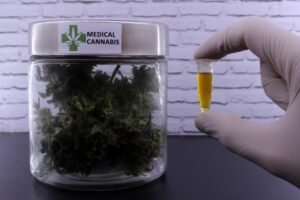 Comissão debate apoio a associações civis dedicadas à cannabis medicinal