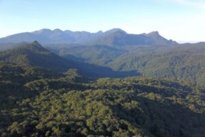 Seminário debate cenário ambiental nos estados brasileiros