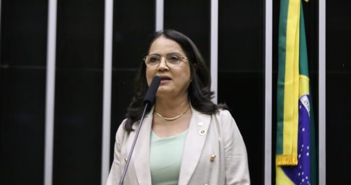 Projeto reconhece interesse coletivo de conselhos de segurança privada