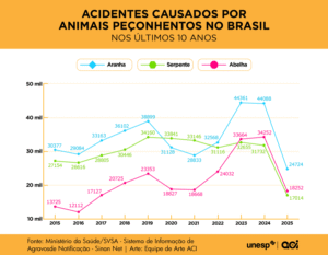 Crescimento de acidentes e mortes por picadas de abelhas se torna problema de saúde pública, alertam pesquisadores