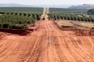 Governo de São Paulo fortalece turismo rural; confira os programas em andamento