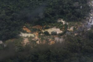 Comissão da Câmara discute combate ao garimpo ilegal e denúncias de abusos em Roraima