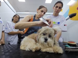 Novo começo: aluna do Caminho da Capacitação transforma luto em sonho de empreender