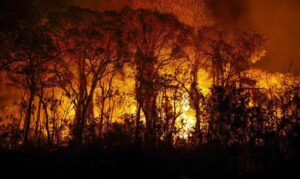 Comissão debate criação do crime de ecocídio para punir casos mais graves de destruição ambiental