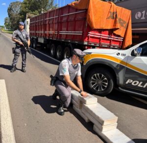 Cão da PM encontra mais de 100 kg de maconha em compartimento falso de caminhão em SP