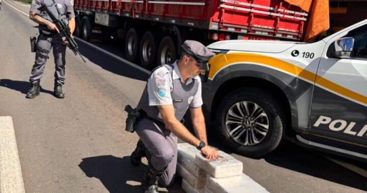 Cão da PM encontra mais de 100 kg de maconha em compartimento falso de caminhão em SP