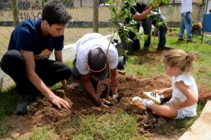 Plantio de 30 mil árvores pela CDHU reforça contribuição de São Paulo às metas globais de sustentabilidade