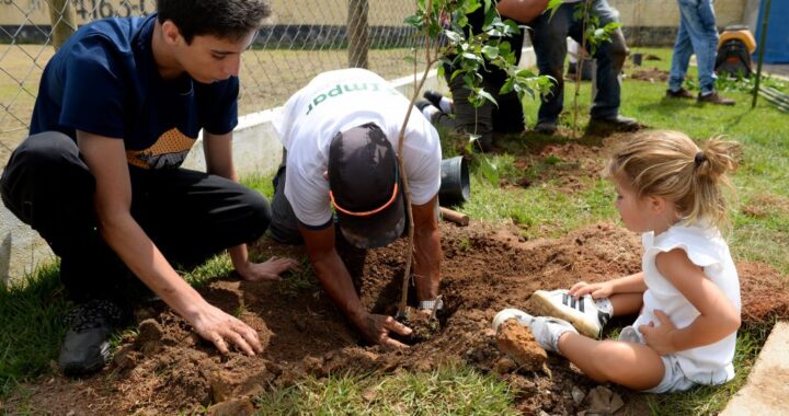 Plantio de 30 mil árvores pela CDHU reforça contribuição de São Paulo às metas globais de sustentabilidade