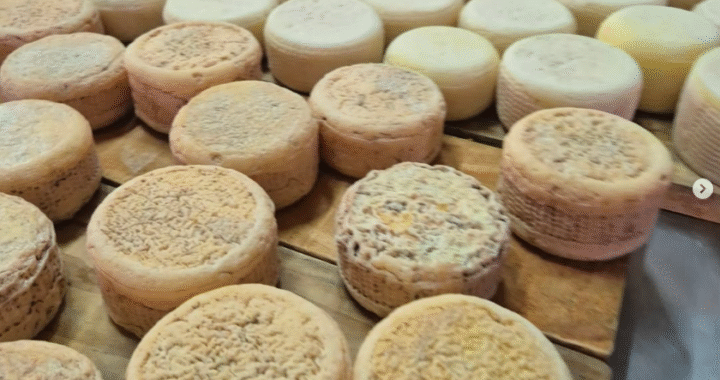 Rota do Queijo: 6 produtores artesanais perto de SP para visitar em um bate e volta