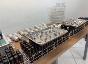 Para garantir qualidade, Sabesp forma esquadrão de degustadores profissionais de água