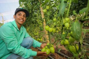 Crédito do Governo de SP investe R$ 27 milhões para produtoras rurais