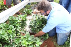 Comissão debate implementação e ampliação da extensão rural na Região Nordeste