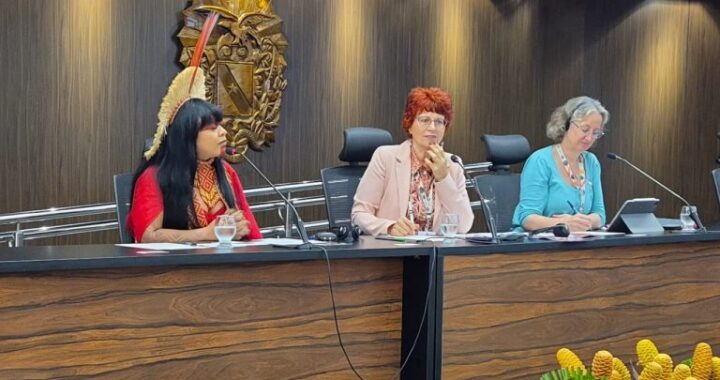 Parlamentares mulheres defendem integração entre gênero e clima em debate na COP30