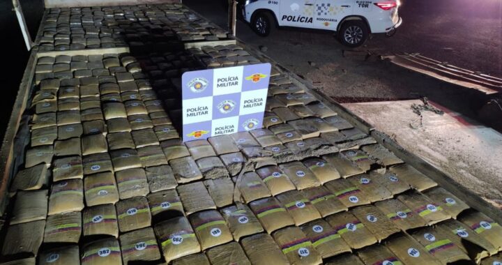 Polícia de SP apreende mais de 600 kg de drogas por dia em SP e prejuízo ao crime chega a R$ 3 bilhões