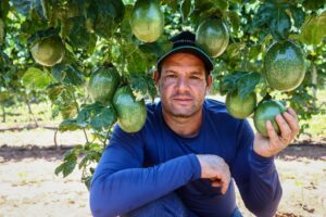 Maior seguro rural do país: em três anos, investimento para proteger o campo cresce 57% em SP