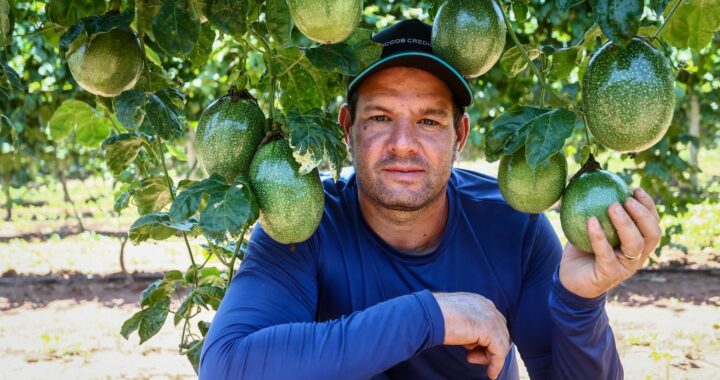 Maior seguro rural do país: em três anos, investimento para proteger o campo cresce 57% em SP