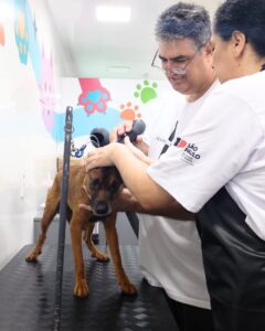 Caminho da Capacitação: em Tupi Paulista, curso de Banho e Tosa impulsiona sonho adormecido de casal