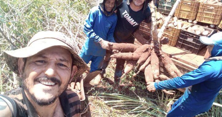 Produção orgânica ganha força em SP com crédito rural e apoio à transição agroecológica