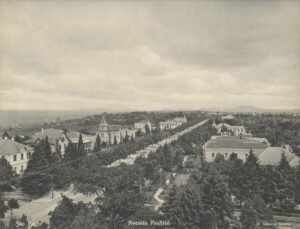 Casa das Rosas inaugura exposição que reforça papel de museu e observatório da cidade