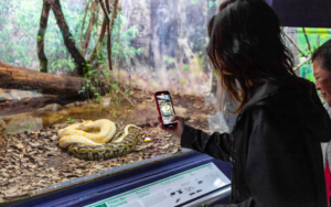 Confira dicas gratuitas para aproveitar as férias das crianças em São Paulo