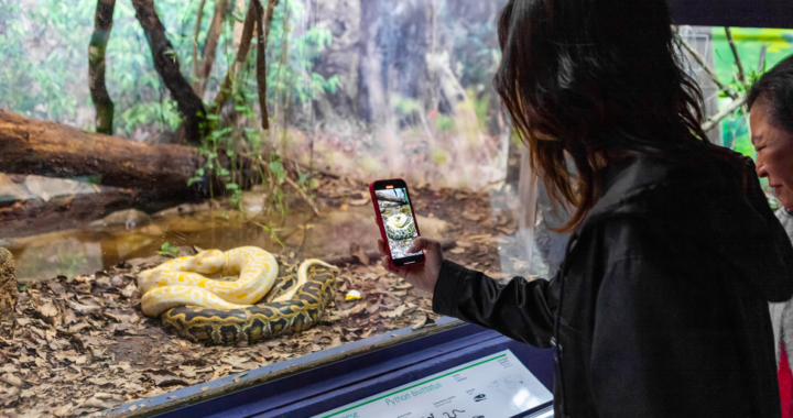 Confira dicas gratuitas para aproveitar as férias das crianças em São Paulo