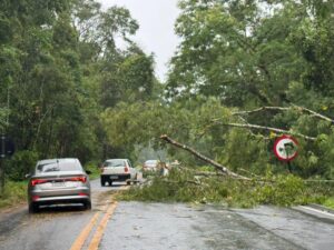 Governo de São Paulo envia 2,1 mil itens de ajuda humanitária após chuvas em Mongaguá
