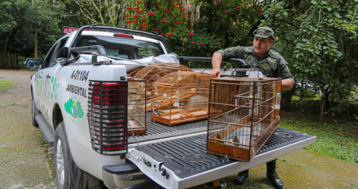 Governo de SP investe R$ 40 milhões para criar três novos Cetras e reforçar a proteção da fauna silvestre