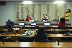 Violência contra mulheres negras e indígenas mobiliza debate no Congresso