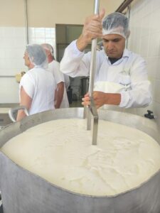 Etecs agrícolas se transformam em polos de produção queijeira