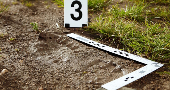 Unesp oferece disciplina inédita no Brasil sobre aplicação da ciência do solo ao contexto forense