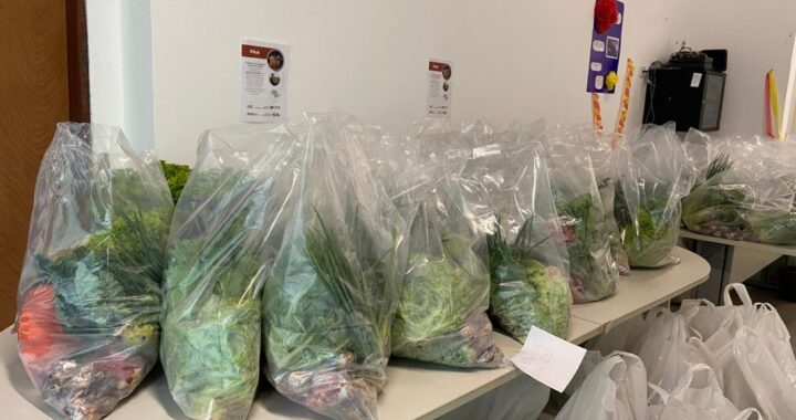 Governo de SP amplia distribuição de alimentos e avança em entregas aos municípios paulistas