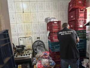 Polícia de SP apreende cerca de 4 milhões de produtos falsificados em ‘vila da pirataria’ no Brás