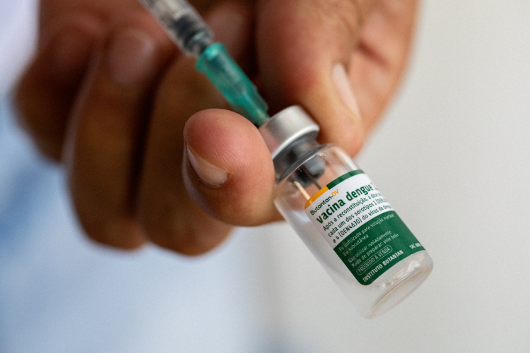 Veja a jornada científica feita nos EUA que deu o pontapé inicial para a vacina da dengue do Butantan