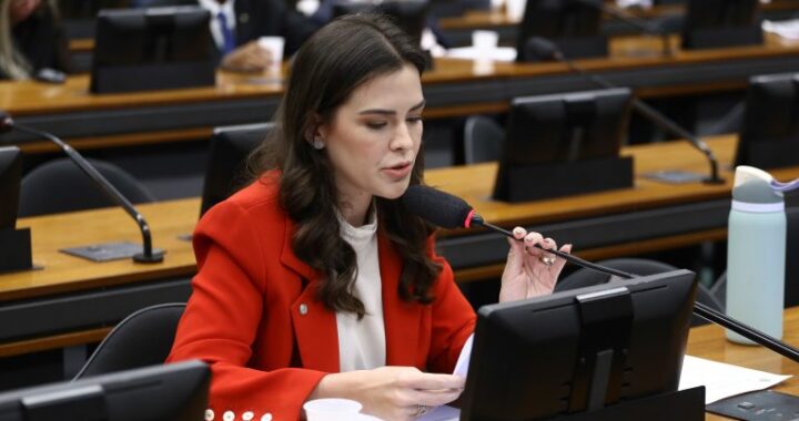 Comissão aprova prioridade para gestantes e lactantes em epidemias