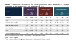 Produção do milho primeira safra deve saltar 38% em São Paulo