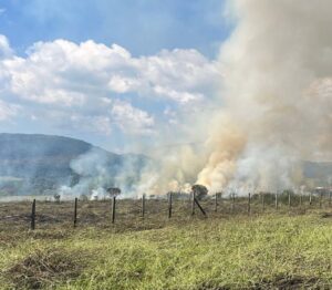 Ações de capacitação e prevenção da Defesa Civil de SP ampliam capacidade de resposta à estiagem