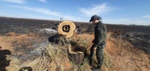 Polícia Militar Ambiental intensifica fiscalização contra queimadas em todo o estado de SP