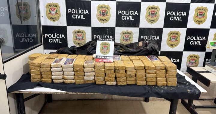 Cocaína camuflada com esterco e naftalina é apreendida pela Polícia Civil em São Roque