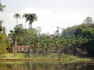 Governo de SP inicia revitalização da principal estrada histórica de visitação da FEENA com material reciclado