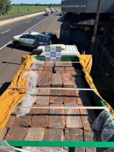 PM Rodoviária apreende 1,4 tonelada de maconha escondida em carga agrícola no interior de SP