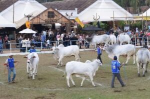 Lei reconhece Expo Cordeiro (RJ) como manifestação da cultura nacional
