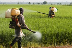 Comissão debate efeitos dos herbicidas hormonais sobre a saúde e a biodiversidade