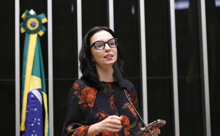 Comissão debate papel de universidades na reconstrução da Zona da Mata mineira