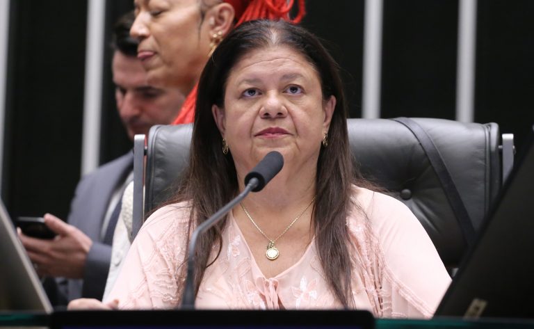 Discussão e votação de propostas legislativas. Dep. Laura Carneiro (PSD-RJ)